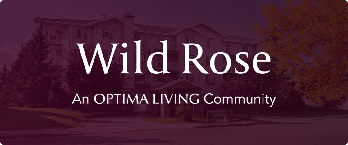 24_04-Wild-Rose---Main-Header-v1a